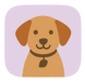 Training & Classes icon