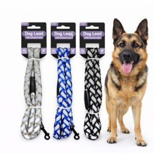 dog lead for night walking