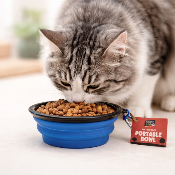 Dog walk essentials bundle - Image 2